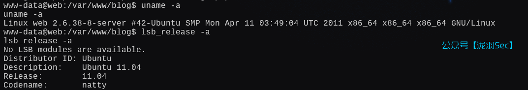 image-20250125151418904