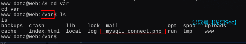 image-20250125152834059