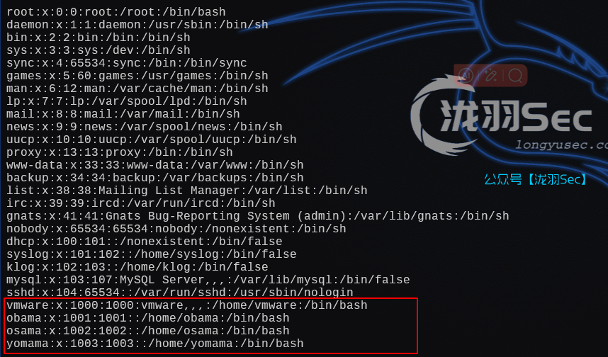 image-20250125234850884