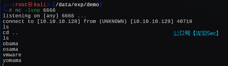 image-20250126003513002