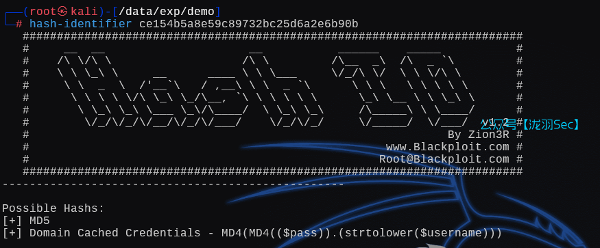 image-20250126021150656