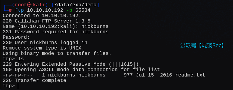 image-20250126133402457