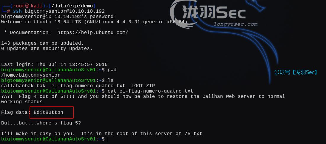 image-20250126191345873