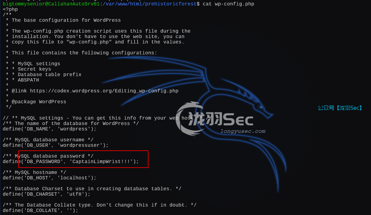 image-20250126192314892