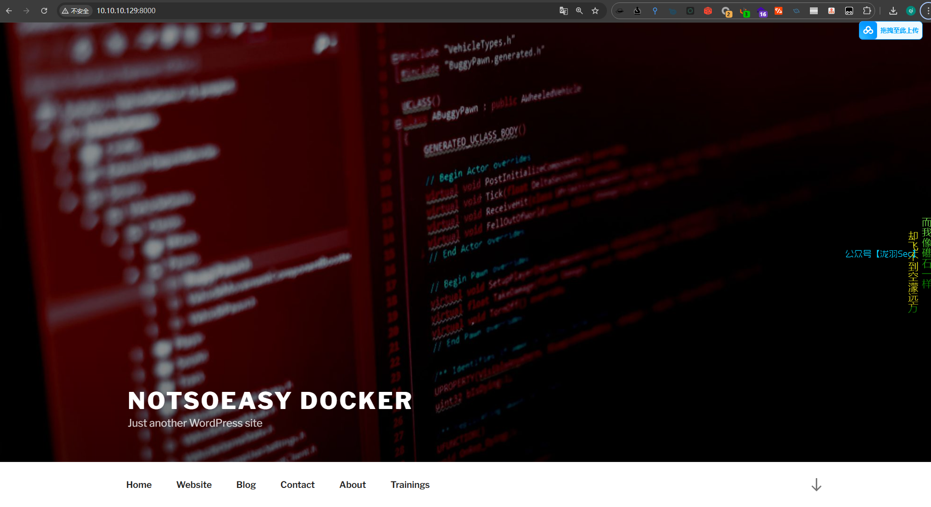 image-20250127185646725