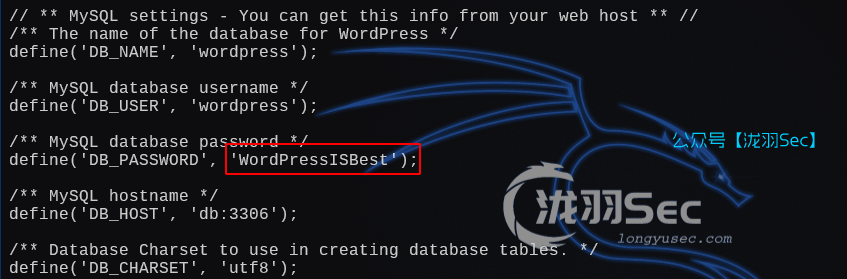 image-20250130210447294