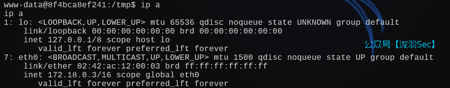 image-20250131004538616