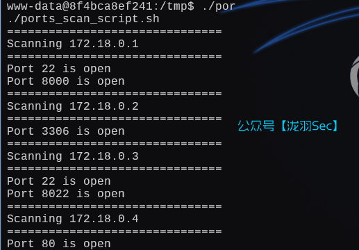 image-20250131140924918