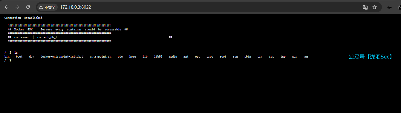 image-20250131174413433