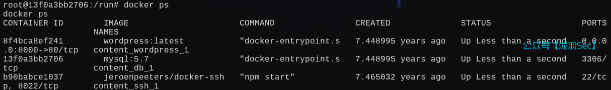 image-20250131192051845