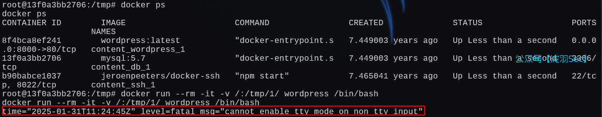 image-20250131193025486