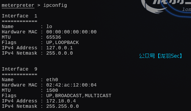 image-20250131215105249