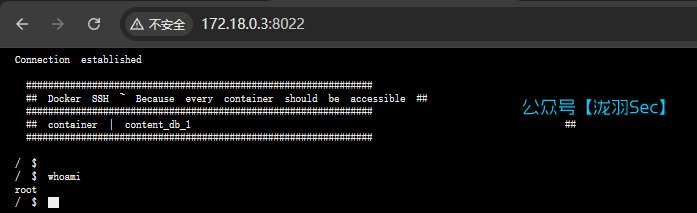 image-20250201234722415