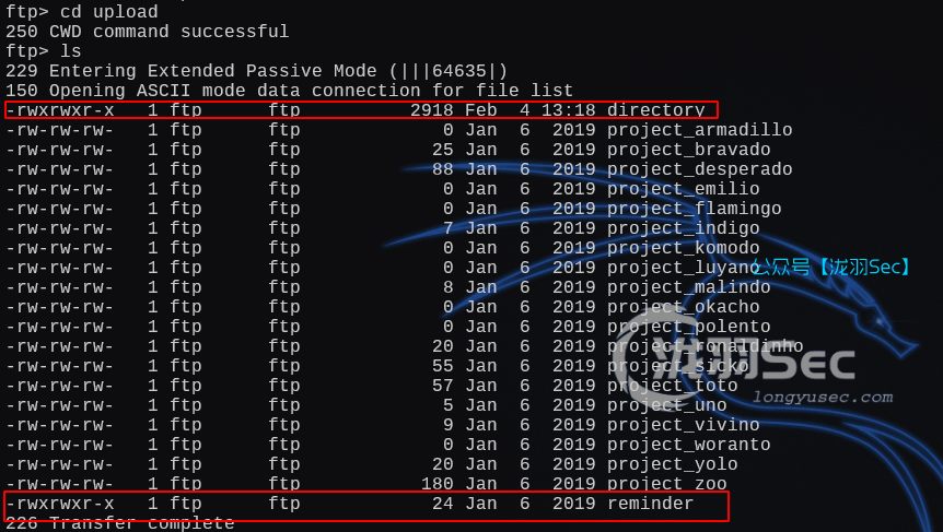 image-20250204212032008