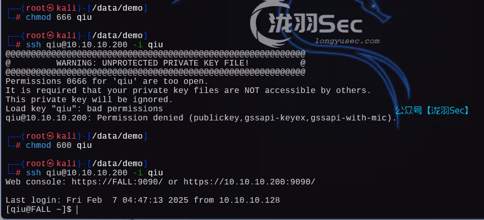 image-20250207204902250