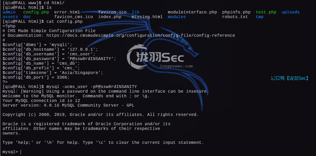 image-20250207205253315