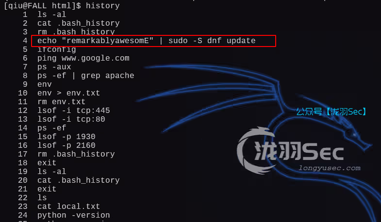 image-20250207210909596