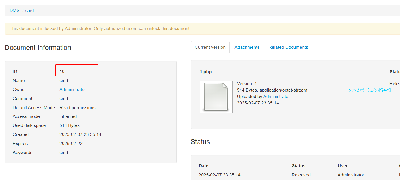 image-20250208154234932