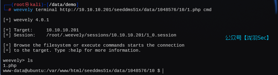 image-20250208154949243