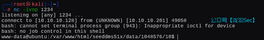 image-20250208155231019