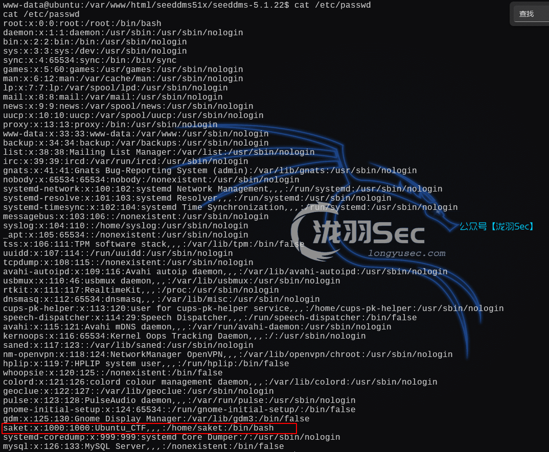 image-20250208183124187