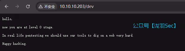 image-20250210200245822