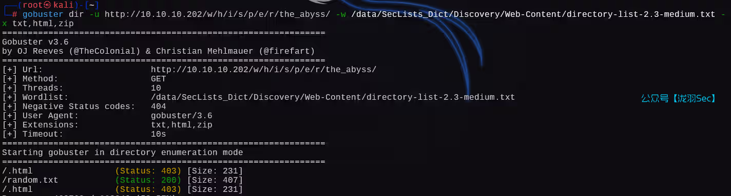 image-20250210112509347