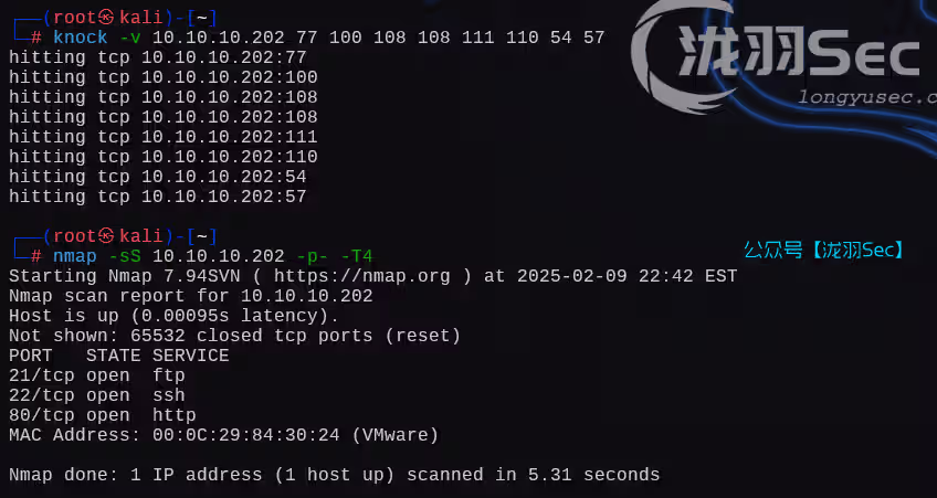 image-20250210114307662