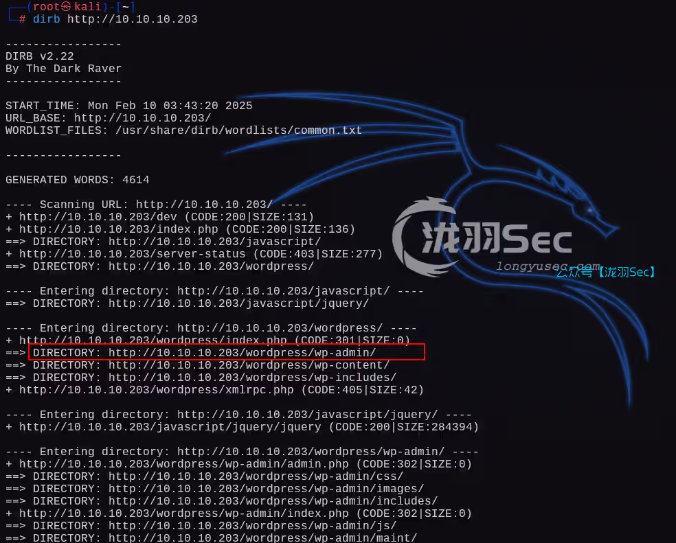 image-20250210164413655