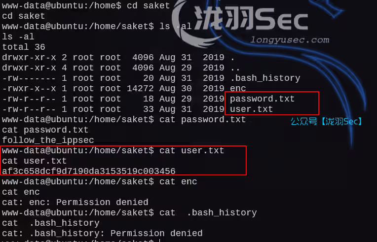 image-20250211210620480