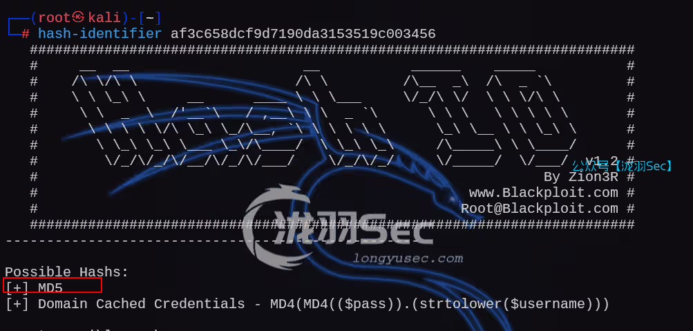 image-20250211210703391