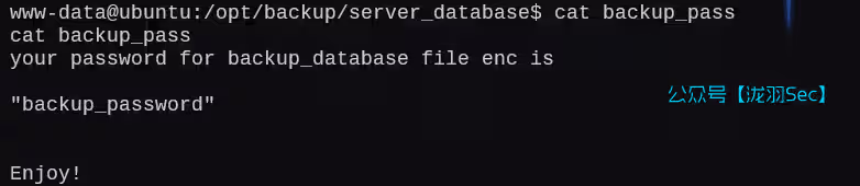 image-20250211212052946