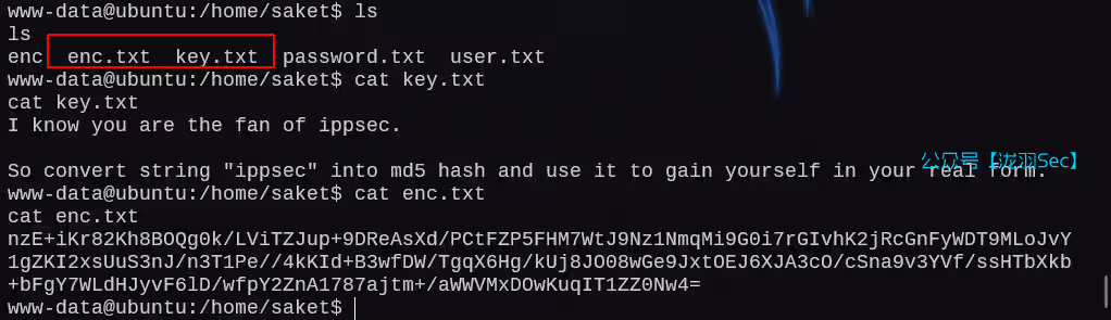 image-20250211213009069