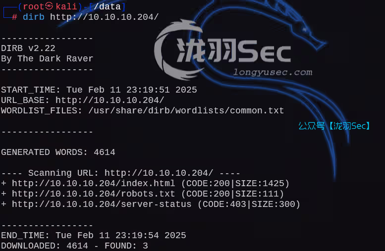 image-20250212122010616