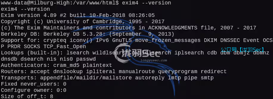 image-20250212183452900