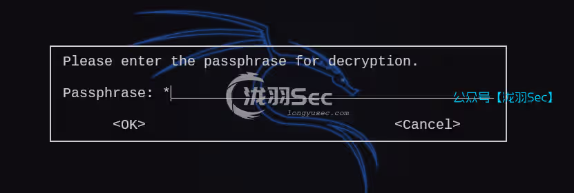 image-20250212202514159