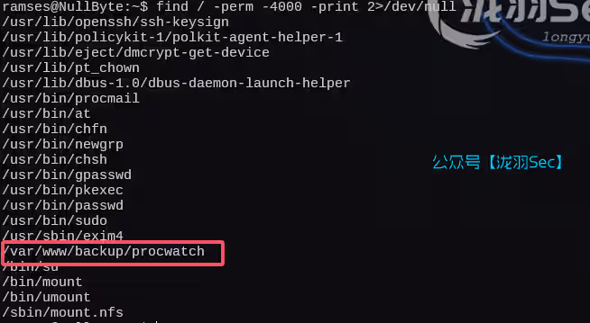 image-20250213162549082