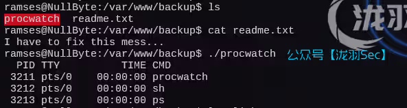 image-20250213162652173