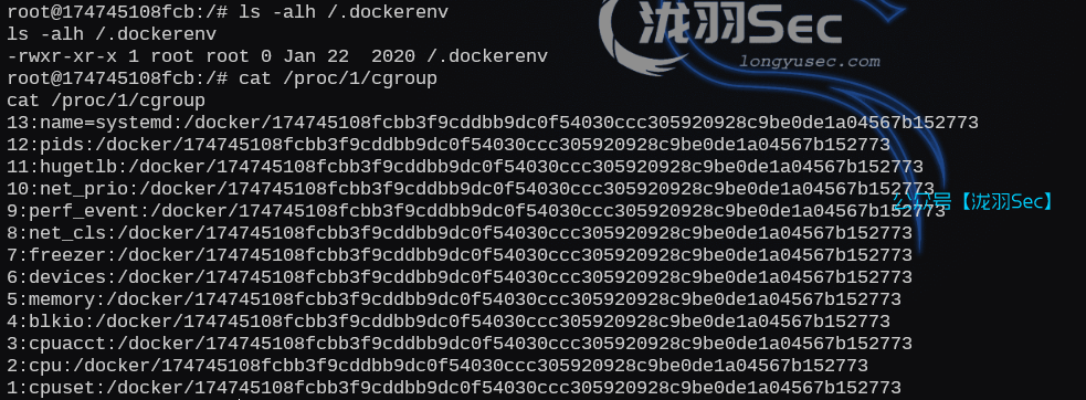 image-20250214223325289