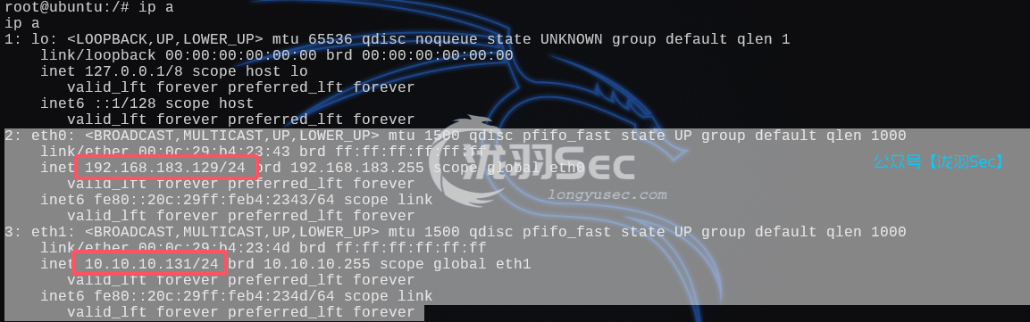 image-20250215195400266